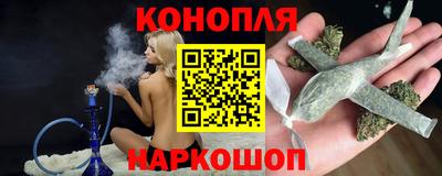 гашик Малгобек