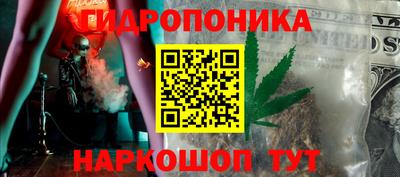 гашик Малгобек