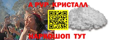 гашик Малгобек