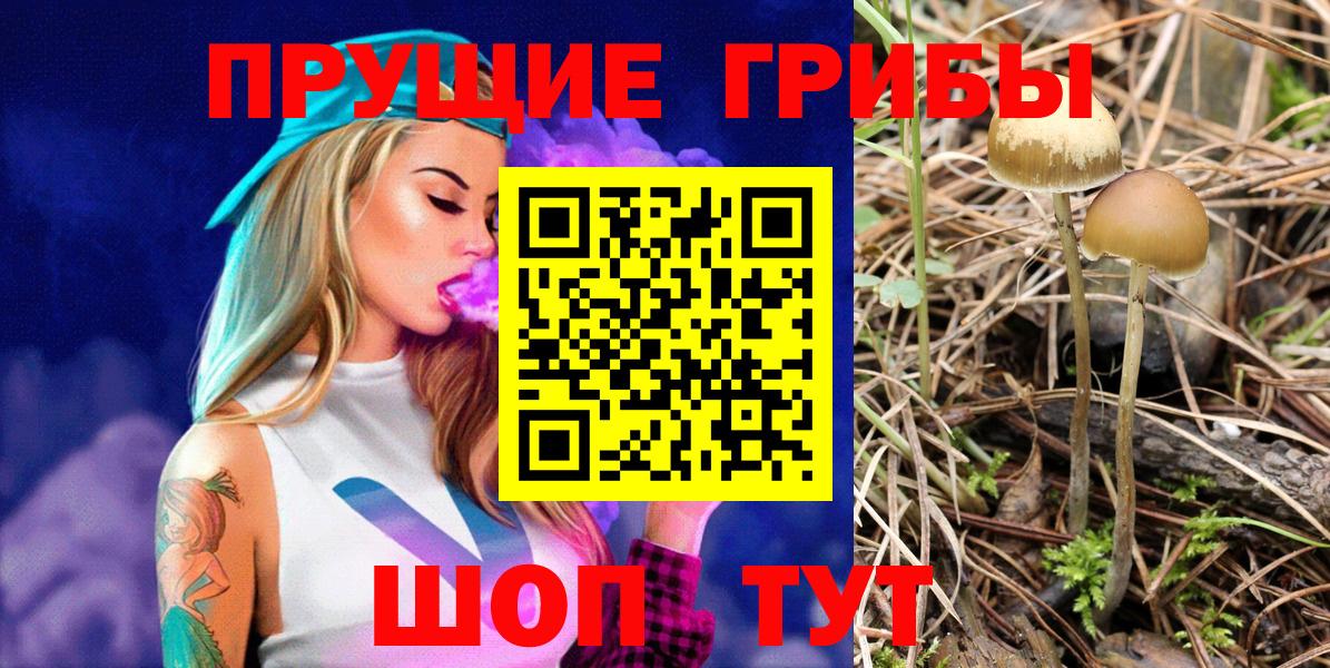 Галлюциногенные грибы ЛСД Гусиноозёрск