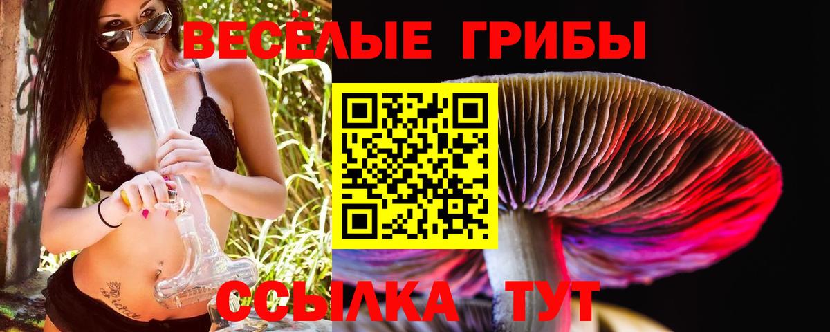 Гусиноозёрск  Псилоцибиновые грибы прущие грибы  Вход с VPN  Псилоцибиновые грибы Magic Shrooms 